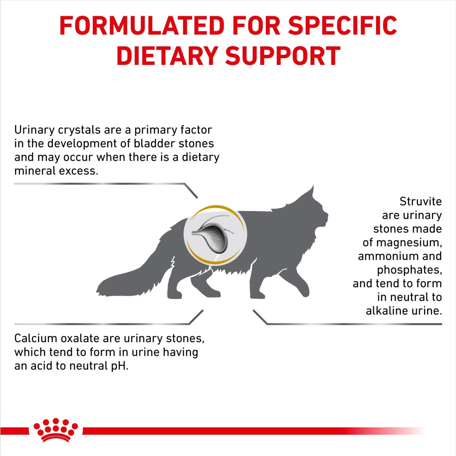 Royal Canin Veterinary Diet Adult Urinary SO Dry Cat Food 6 Royal Canin Veterinary Diet Adult Urinary SO Dry Cat Food - Image 4