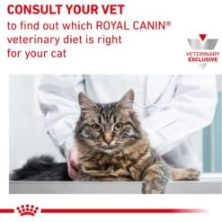 Royal Canin Veterinary Diet Adult Urinary SO Morsels In Gravy Canned Cat Food 18 Royal Canin Veterinary Diet Adult Urinary SO Morsels In Gravy Canned Cat Food -Furry Friends 49989 PT7. AC SS1800 V1677619466