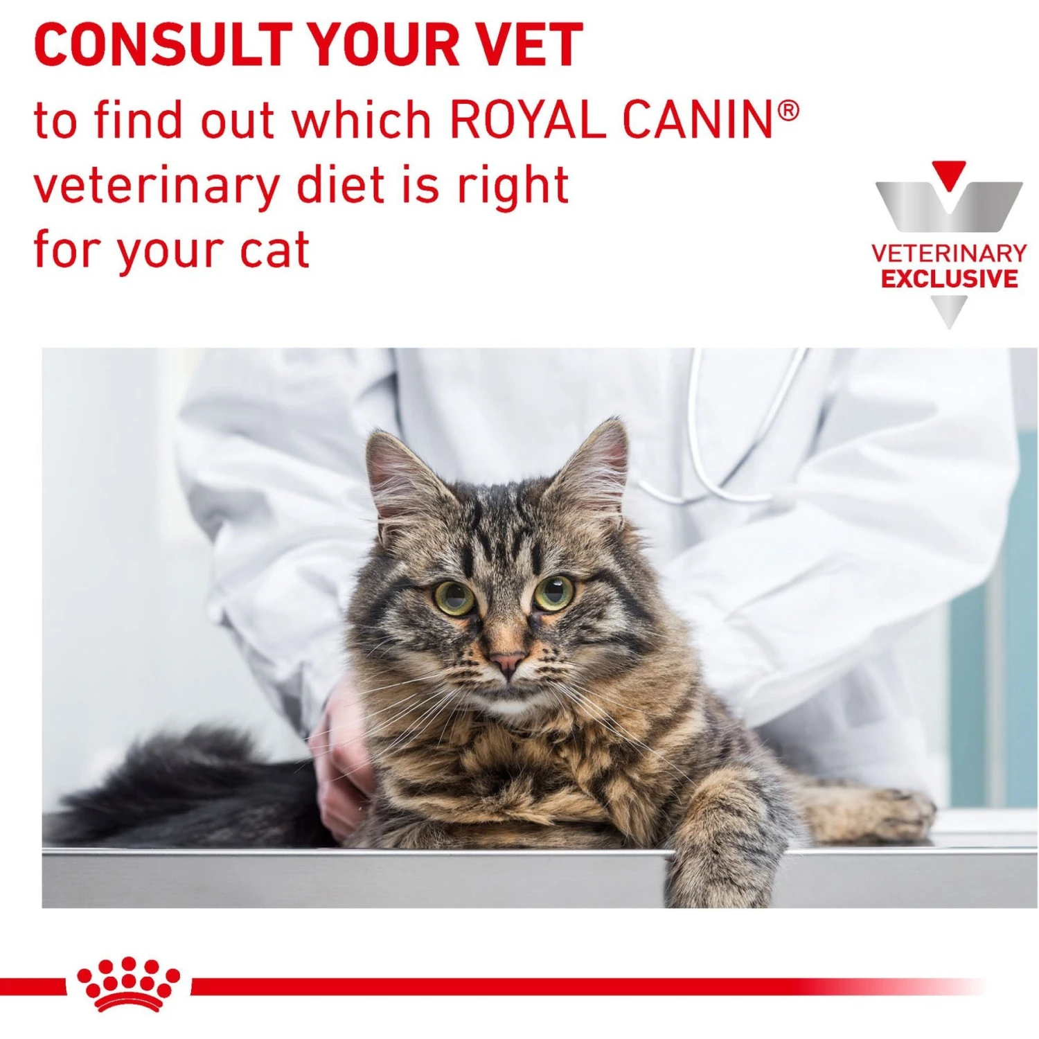 Royal Canin Veterinary Diet Adult Urinary SO Morsels In Gravy Canned Cat Food 10 Royal Canin Veterinary Diet Adult Urinary SO Morsels In Gravy Canned Cat Food - Image 8