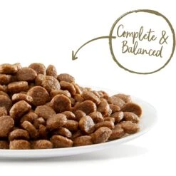 Applaws Adult Complete Whitefish Recipe With Country Vegetables Grain-Free Dry Cat Food & Applaws Tuna Loin Grain-Free Cat Treats, 1.06-oz Loin, Case Of 12 13 Applaws Adult Complete Whitefish Recipe With Country Vegetables Grain-Free Dry Cat Food & Applaws Tuna Loin Grain-Free Cat Treats, 1.06-oz Loin, Case Of 12 -Furry Friends 502938 PT2. AC SS1800 V1648477886