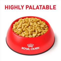 Royal Canin Veterinary Diet Adult Hydrolyzed Protein Dry Cat Food 13 Royal Canin Veterinary Diet Adult Hydrolyzed Protein Dry Cat Food -Furry Friends 50317 PT2. AC SS1800 V1693317637