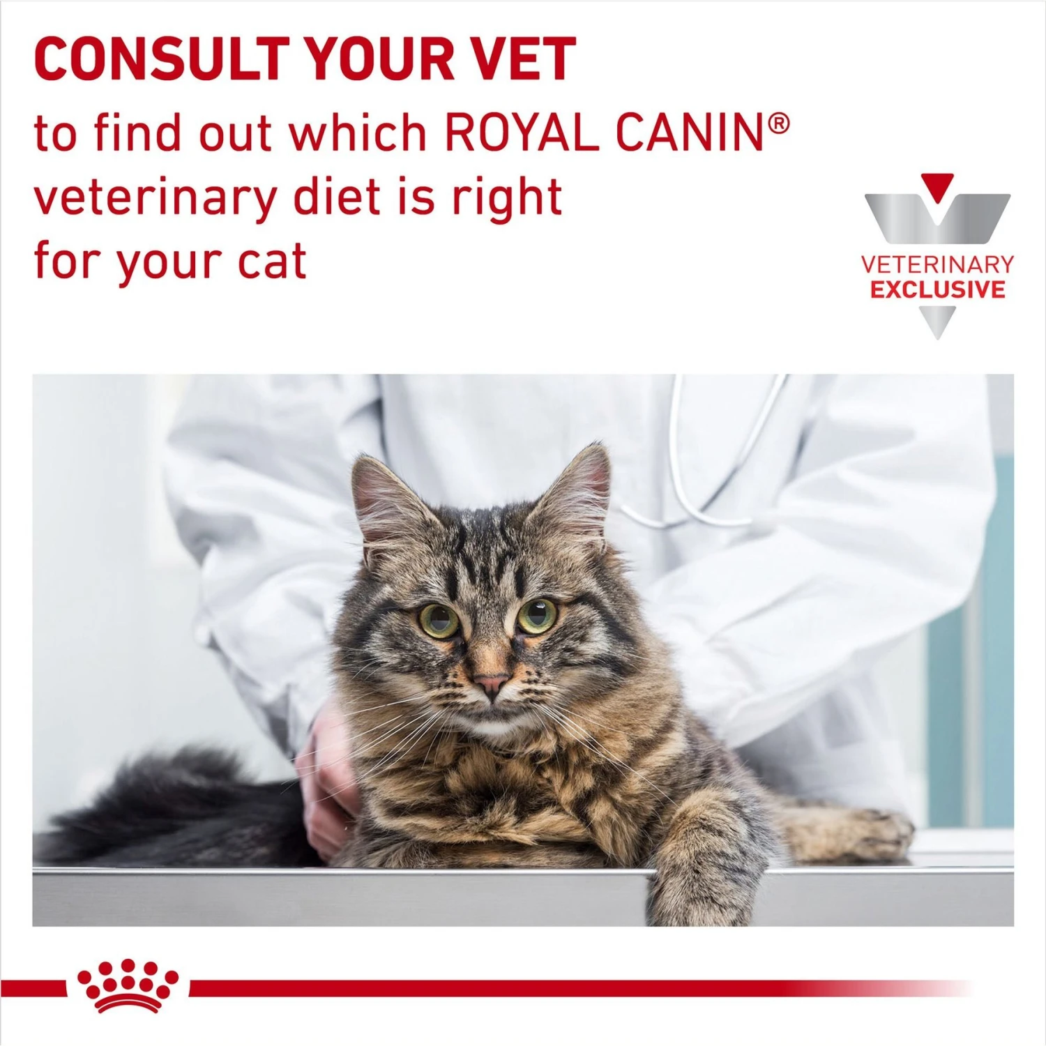 Royal Canin Veterinary Diet Adult Hydrolyzed Protein Dry Cat Food 11 Royal Canin Veterinary Diet Adult Hydrolyzed Protein Dry Cat Food - Image 9