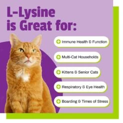 Pet Naturals L-Lysine Cat Chews -Furry Friends 50377 PT2. AC SS1800 V1484768851