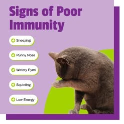 Pet Naturals L-Lysine Cat Chews -Furry Friends 50377 PT3. AC SS1800 V1484768854