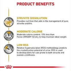 Royal Canin Veterinary Diet Adult Urinary SO Moderate Calorie Dry Cat Food -Furry Friends 50638 PT3. AC SS1800 V1692389678