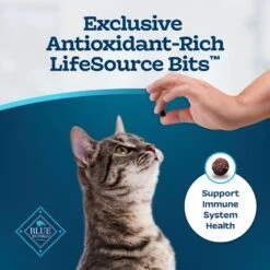 Blue Buffalo Tastefuls Sensitive Stomach Natural Chicken Adult Dry Cat Food -Furry Friends 50765 PT6. AC SS1800 V1692646074