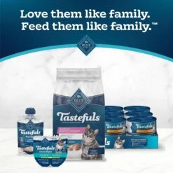 Blue Buffalo Tastefuls Sensitive Stomach Natural Chicken Adult Dry Cat Food -Furry Friends 50765 PT8. AC SS1800 V1692642199