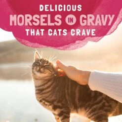 Natural Balance Platefulls Indoor Formula Salmon, Tuna, Chicken & Shrimp In Gravy Grain-Free Cat Food Pouches -Furry Friends 50933 PT7. AC SS1800 V1677513789