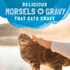 Natural Balance Platefulls Indoor Formula Mackerel & Sardine In Gravy Grain-Free Cat Food Pouches -Furry Friends 50934 PT7. AC SS1800 V1677532157