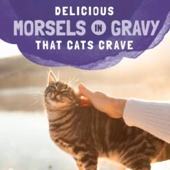 Natural Balance Platefulls Indoor Formula Chicken & Chicken Liver In Gravy Grain-Free Cat Food Pouches -Furry Friends 50935 PT7. AC SS1800 V1675455579