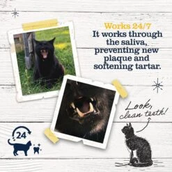 Dr. Pol ProDen PlaqueOff Powder Cat Dental Care, 40-g -Furry Friends 510654 PT4. AC SS1800 V1648690584