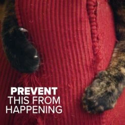 TriNova Anti-Scratch Rosemary Cat Deterrent Spray, 8-oz Bottle -Furry Friends 511790 PT4. AC SS1800 V1649132904