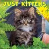 Just Kittens 2023 Wall Calendar 2 Just Kittens 2023 Wall Calendar -Furry Friends 512374 MAIN. AC SS1800 V1652395895