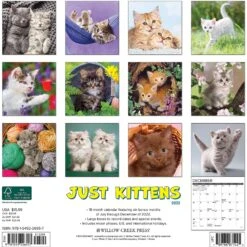 Just Kittens 2023 Wall Calendar 7 Just Kittens 2023 Wall Calendar -Furry Friends 512374 PT1. AC SS1800 V1652392299