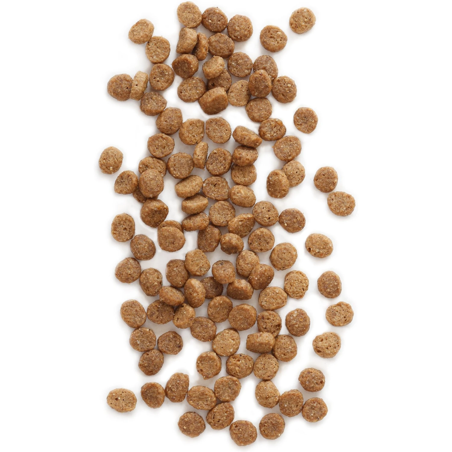 Earthborn Holistic Feline Vantage Natural Dry Cat & Kitten Food 9 Earthborn Holistic Feline Vantage Natural Dry Cat & Kitten Food - Image 7