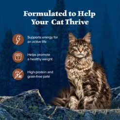 Blue Buffalo Wilderness Turkey Grain-Free Canned Cat Food 13 Blue Buffalo Wilderness Turkey Grain-Free Canned Cat Food -Furry Friends 51557 PT3. AC SS1800 V1702579877
