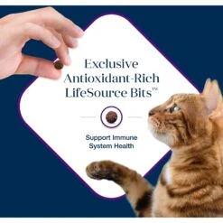 Blue Buffalo Basics Skin & Stomach Care Grain-Free Turkey & Potato Recipe Indoor Adult Dry Cat Food -Furry Friends 51727 PT6. AC SS1800 V1646277395