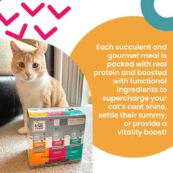 I And Love And You Feed Meow Tummy Tuna & Pumpkin Feast Grain-Free Chunks In Gravy Wet Cat Food, 3-oz Pouch, Case Of 24 11 I And Love And You Feed Meow Tummy Tuna & Pumpkin Feast Grain-Free Chunks In Gravy Wet Cat Food, 3-oz Pouch, Case Of 24 -Furry Friends 517334 PT2. AC SS1800 V1686941219