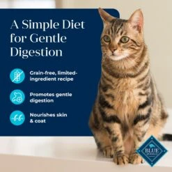 Blue Buffalo Basics Skin & Stomach Care Grain-Free Fish & Potato Entree Indoor Adult Canned Cat Food -Furry Friends 51733 PT2. AC SS1800 V1646282830