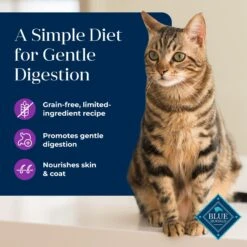 Blue Buffalo Basics Skin & Stomach Care Grain-Free Turkey & Potato Entree Indoor Adult Canned Cat Food 13 Blue Buffalo Basics Skin & Stomach Care Grain-Free Turkey & Potato Entree Indoor Adult Canned Cat Food -Furry Friends 51734 PT2. AC SS1800 V1646253722