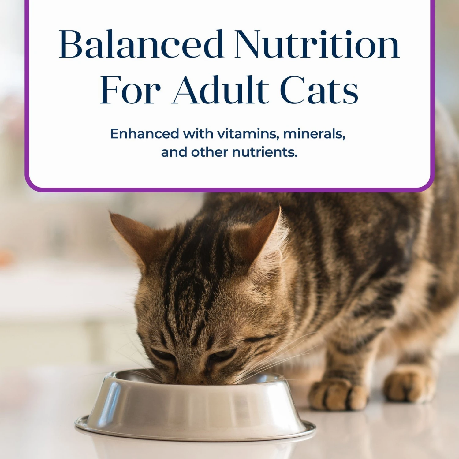Blue Buffalo Basics Skin & Stomach Care Grain-Free Turkey & Potato Entree Indoor Adult Canned Cat Food 9 Blue Buffalo Basics Skin & Stomach Care Grain-Free Turkey & Potato Entree Indoor Adult Canned Cat Food - Image 7