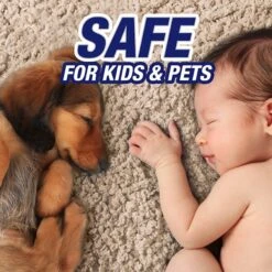 Resolve Urine Destroyer Stain & Odor Remover, 32-oz Bottle -Furry Friends 519774 PT5. AC SS1800 V1651504885