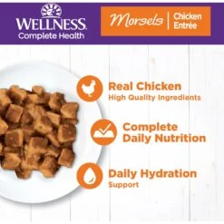 Wellness Morsels Chicken Entree Grain-Free Canned Cat Food 12 Wellness Morsels Chicken Entree Grain-Free Canned Cat Food -Furry Friends 52110 PT2. AC SS1800 V1695839058