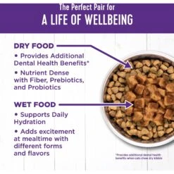 Wellness Morsels Chicken Entree Grain-Free Canned Cat Food 16 Wellness Morsels Chicken Entree Grain-Free Canned Cat Food -Furry Friends 52110 PT6. AC SS1800 V1695839117