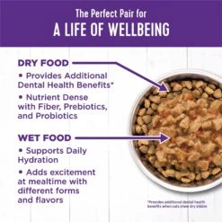 Wellness Minced Turkey & Salmon Entree Grain-Free Canned Cat Food -Furry Friends 52128 PT5. AC SS1800 V1695826951