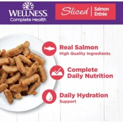 Wellness Sliced Salmon Entree Grain-Free Canned Cat Food -Furry Friends 52133 PT2. AC SS1800 V1666651313