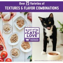 Wellness Sliced Salmon Entree Grain-Free Canned Cat Food -Furry Friends 52133 PT6. AC SS1800 V1636553260