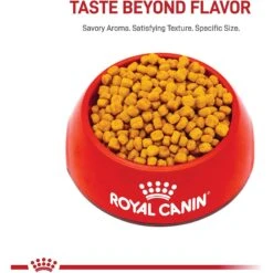 Royal Canin Feline Health Nutrition Indoor 7+ Adult Dry Cat Food -Furry Friends 52425 PT1. AC SS1800 V1697736198