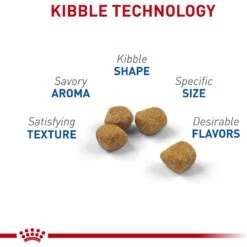 Royal Canin Feline Health Nutrition Indoor 7+ Adult Dry Cat Food -Furry Friends 52425 PT3. AC SS1800 V1697762330