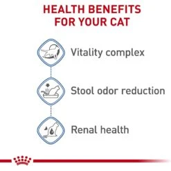 Royal Canin Feline Health Nutrition Indoor 7+ Adult Dry Cat Food -Furry Friends 52425 PT4. AC SS1800 V1697761878