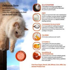 Animal Nutritional Products ArthriMAXX Liquid Joint Support & Antioxdant Cat Supplement, 6-oz Bottle 19 Animal Nutritional Products ArthriMAXX Liquid Joint Support & Antioxdant Cat Supplement, 6-oz Bottle -Furry Friends 525806 PT8. AC SS1800 V1652743904