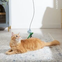 Frisco Leaf & Dragonfly Interchangeable Teaser Wand Cat Toy With Catnip -Furry Friends 525982 PT3. AC SS1800 V1669148131