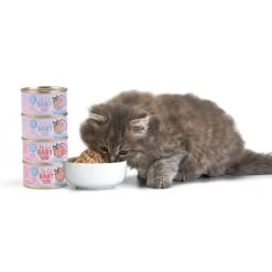 Tiki Cat Baby Grain-Free Chicken & Egg Recipe Wet Cat Food, 2.4-oz Can, Case Of 12 -Furry Friends 526142 PT6. AC SS1800 V1651671693