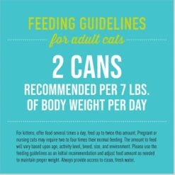 Tiki Cat Luau Succulent Chicken Pate Wet Cat Food -Furry Friends 526158 PT5. AC SS1800 V1652392902