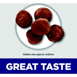 Hill's Science Diet Indoor Kitten Dry Cat Food -Furry Friends 52723 PT2. AC SS1800 V1690571445