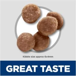 Hill's Science Diet Kitten Healthy Development Chicken Recipe Dry Cat Food -Furry Friends 52751 PT2. AC SS1800 V1690571431