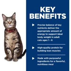 Hill's Science Diet Adult Tender Ocean Fish Dinner Canned Cat Food -Furry Friends 52765 PT4. AC SS1800 V1598153504