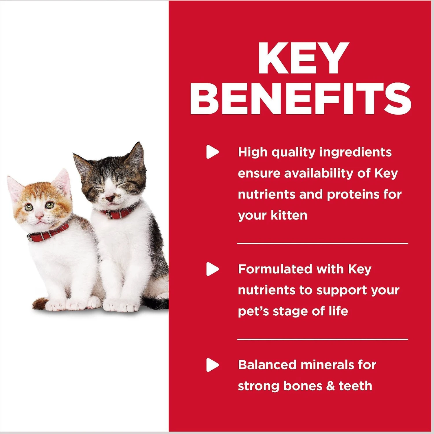 Hill's Science Diet Kitten Tender Chicken Dinner Canned Cat Food 6 Hill's Science Diet Kitten Tender Chicken Dinner Canned Cat Food - Image 4