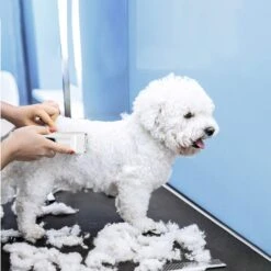 Bousnic Removable Blade Dog & Cat Grooming Clipper, White 13 Bousnic Removable Blade Dog & Cat Grooming Clipper, White -Furry Friends 530030 PT4. AC SS1800 V1657658568