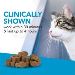 VetriScience Composure Trout Flavored Soft Chews Calming Supplement For Cats -Furry Friends 530886 PT3. AC SS1800 V1652739728