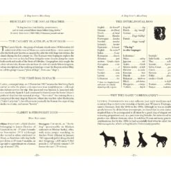 Dog Lover's Trivia -Furry Friends 533902 PT2. AC SS1800 V1652772487