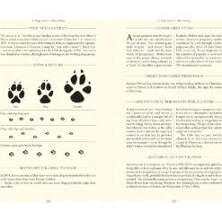 Dog Lover's Trivia -Furry Friends 533902 PT3. AC SS1800 V1657658635