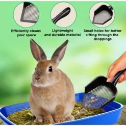 SunGrow Corner Box Clumping Fine Sand Cat Litter Scooper 11 SunGrow Corner Box Clumping Fine Sand Cat Litter Scooper -Furry Friends 536566 PT2. AC SS1800 V1657658870