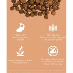 Go! Solutions Digestive + Gut Health Salmon Recipe With Ancient Grains For Cats -Furry Friends 539574 PT2. AC SS1800 V1662061727