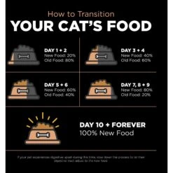 Go! Solutions Digestive + Gut Health Salmon Recipe With Ancient Grains For Cats -Furry Friends 539574 PT6. AC SS1800 V1662062182