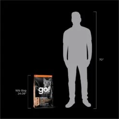 Go! Solutions Digestive + Gut Health Salmon Recipe With Ancient Grains For Cats -Furry Friends 539574 PT8. AC SS1800 V1662065700